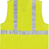 Vesti Delta