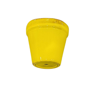 Close-up of the top half of a bright yellow cup seen from below, showing the curved lip and bottom base on a white background