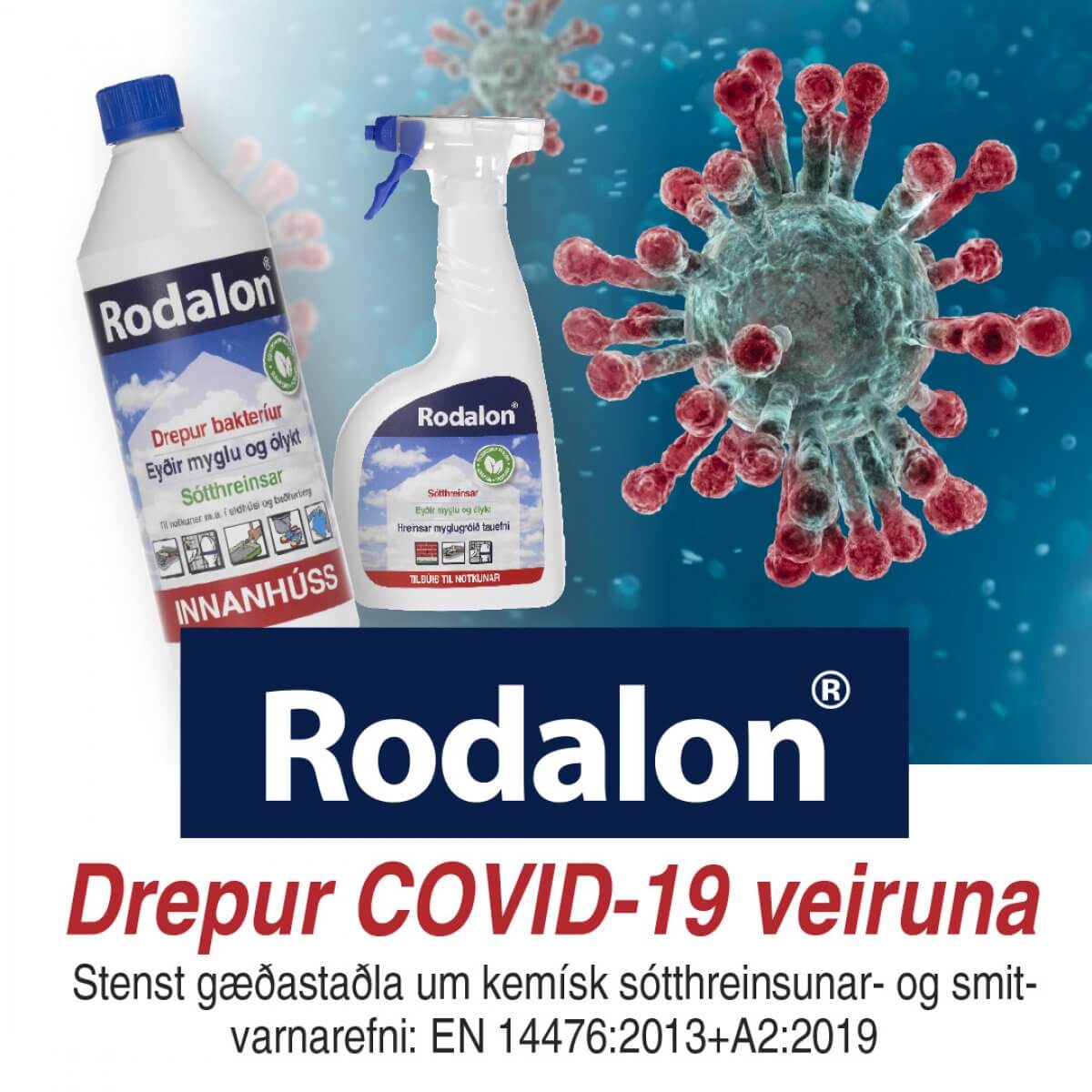 RODALON INNANHÚSS 750 ML ÚÐABRÚSI - Image 2